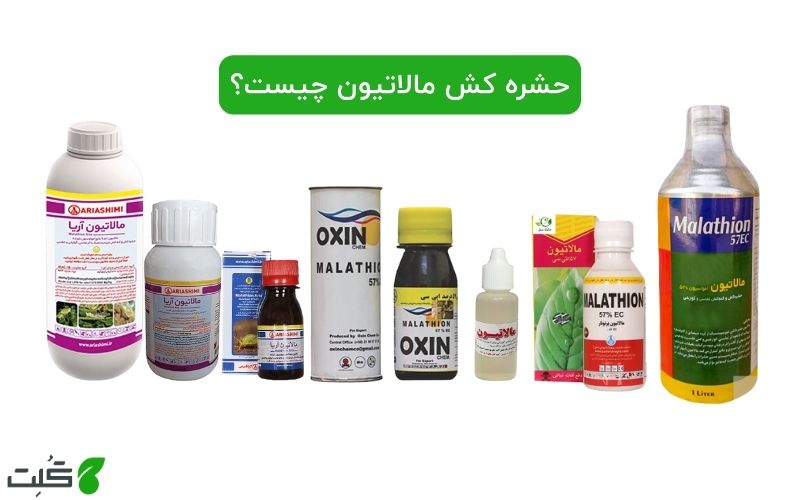 حشره کش مالاتیون چیست