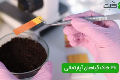 Ph خاک گیاهان آپارتمانی