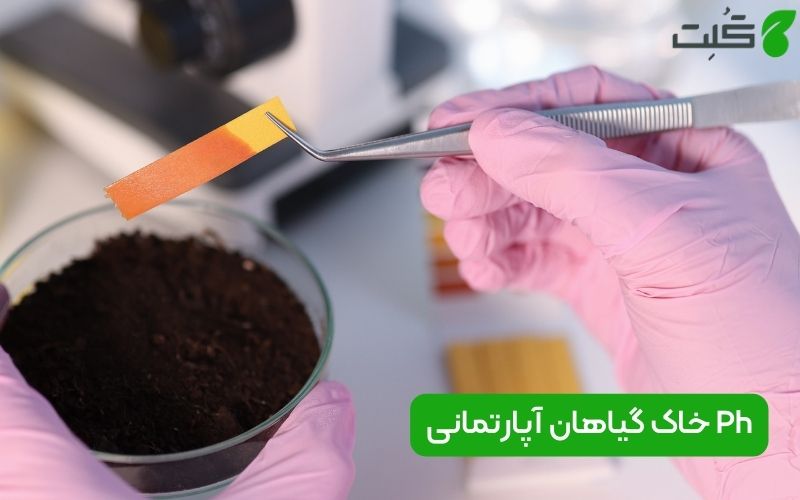 Ph خاک گیاهان آپارتمانی