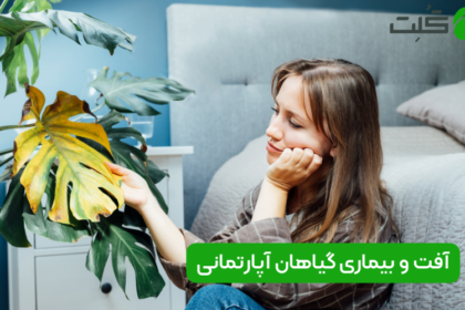 آفت و بیماری گیاهان آپارتمانی