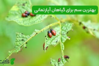 سم برای گیاهان آپارتمانی