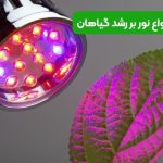 تاثیر انواع نور بر رشد گیاهان