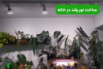 ساخت نور رشد در خانه