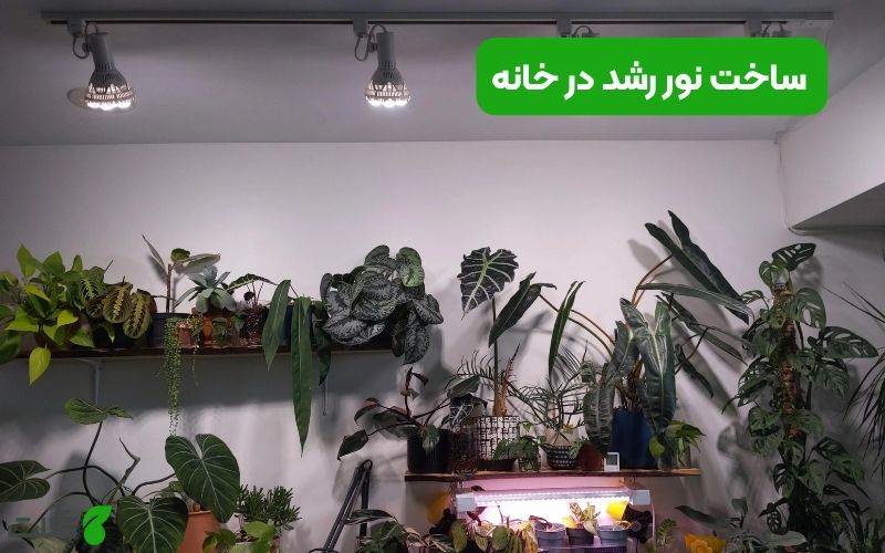 ساخت نور رشد در خانه