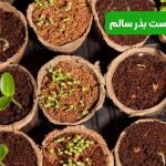 نحوه تست بذر سالم