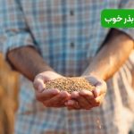 ویژگی بذر خوب