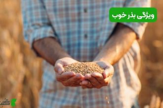 ویژگی بذر خوب