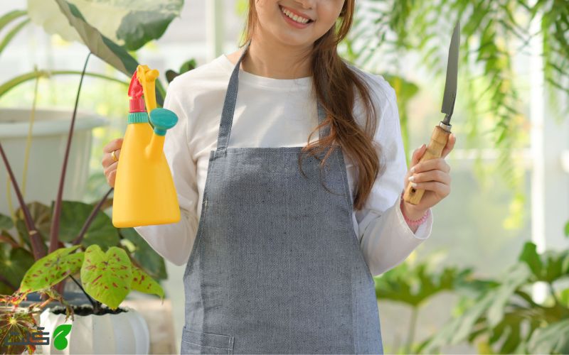 ابزار های لازم برای نگهداری از گیاهان آپارتمانی