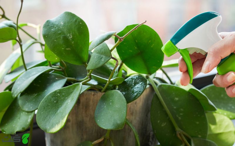 راهنمای انتخاب سم بر اساس نوع گیاه