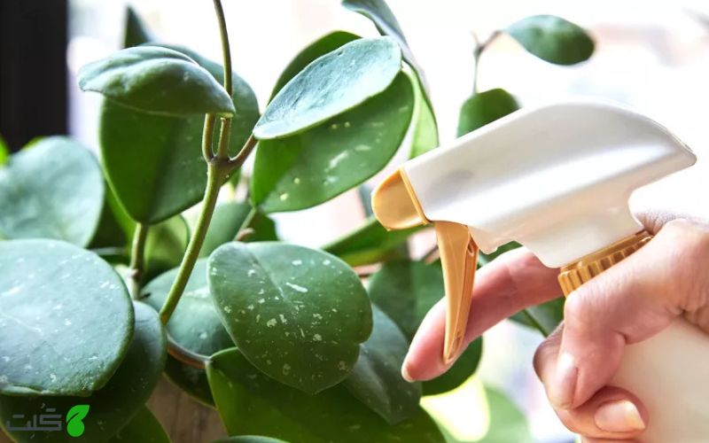 راهنمای انتخاب حشره‌ کش