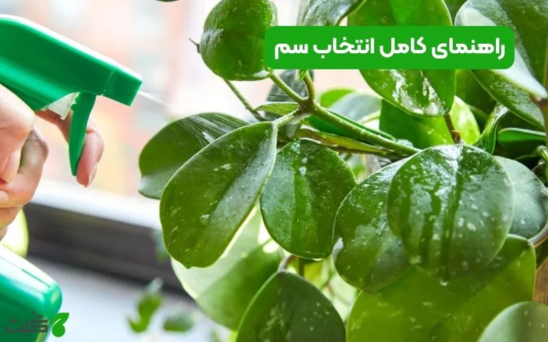 راهنمای کامل انتخاب سم | انواع سم و نحوه