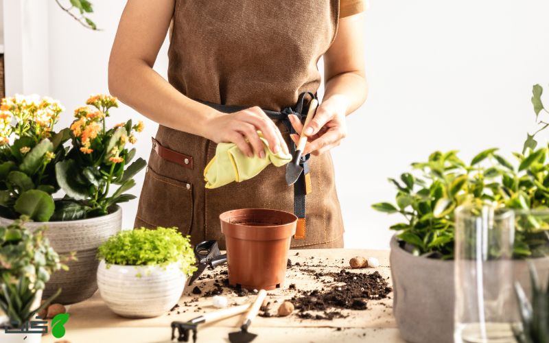 نگهداری و مراقبت از ابزار ها