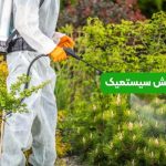 حشره کش سیستمیک