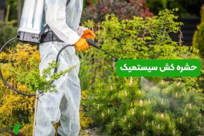حشره کش سیستمیک