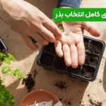 راهنمای کامل انتخاب بذر