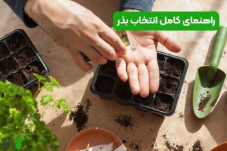 راهنمای کامل انتخاب بذر