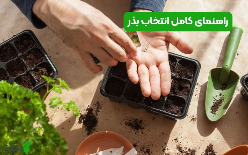 راهنمای کامل انتخاب بذر