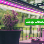 راهنمای کامل انتخاب نور رشد