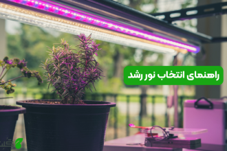 راهنمای کامل انتخاب نور رشد