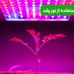 نحوه استفاده از نور رشد