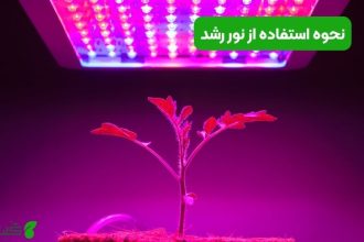 نحوه استفاده از نور رشد