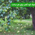 میزان مصرف کود آهن برای هر درخت