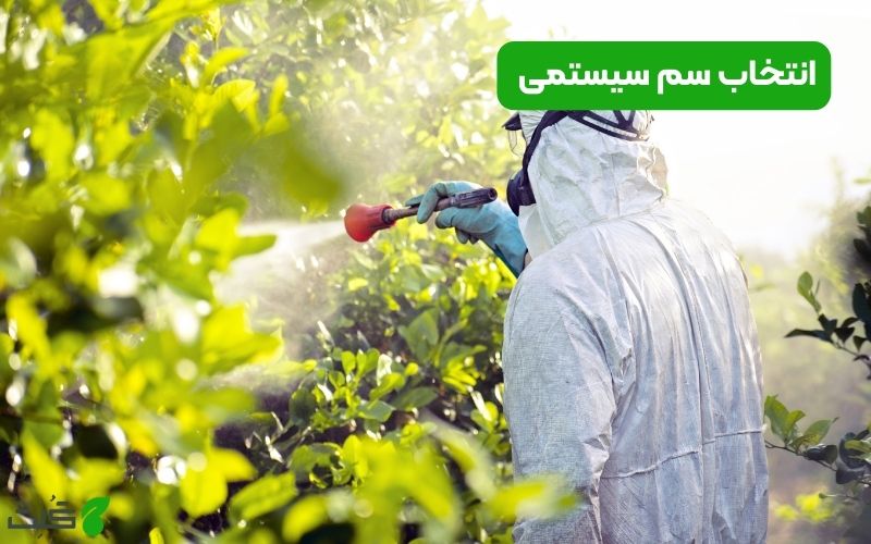 انتخاب سم سیستمی