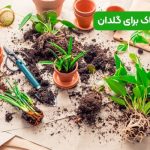 انواع خاک برای گلدان