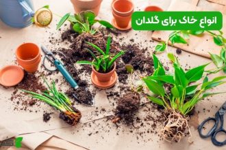انواع خاک برای گلدان