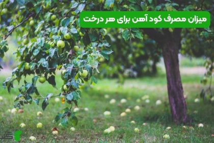 میزان مصرف کود آهن برای هر درخت