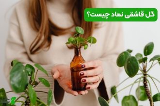 گل قاشقی نماد چیست؟