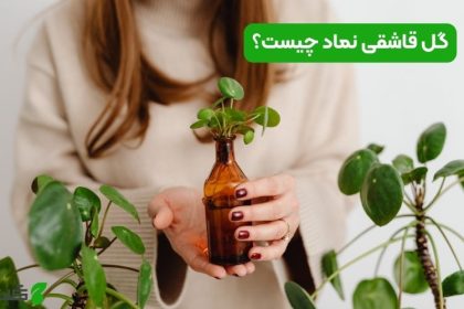 گل قاشقی نماد چیست؟