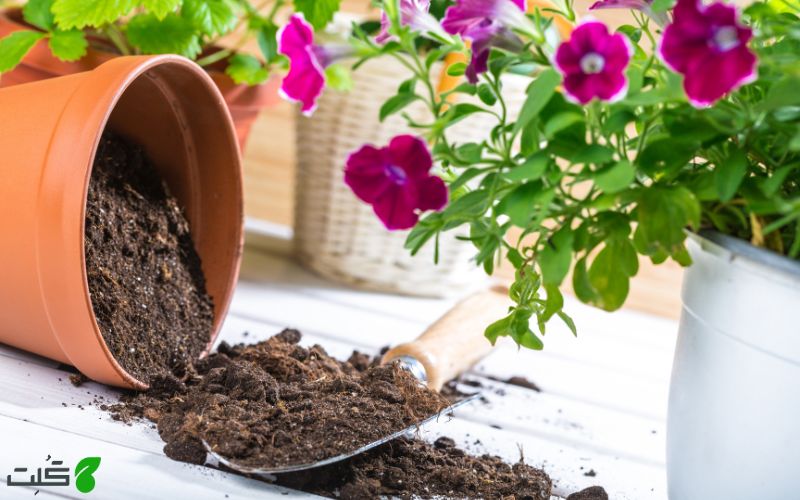 اجزای اصلی تشکیل‌ دهنده خاک‌ های آماده