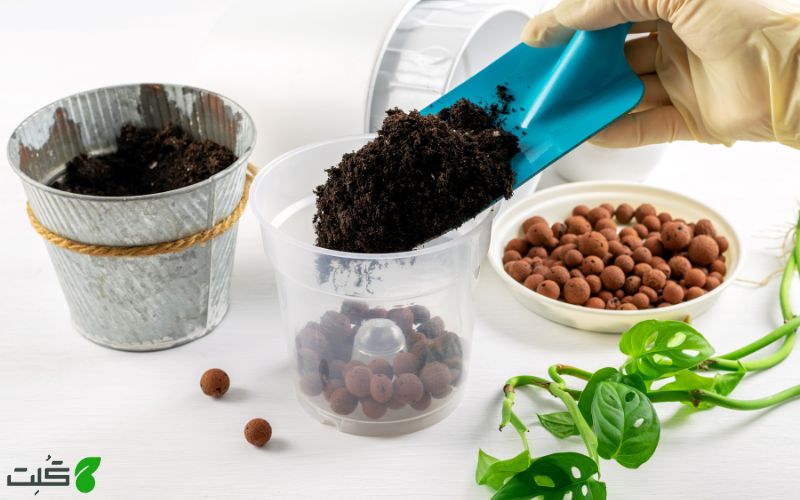 راهنمای خرید خاک گیاهان آپارتمانی 
