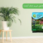 راهنمای کامل خرید خاک آماده | نکات مهم قبل از انتخاب بهترین خاک گلدان