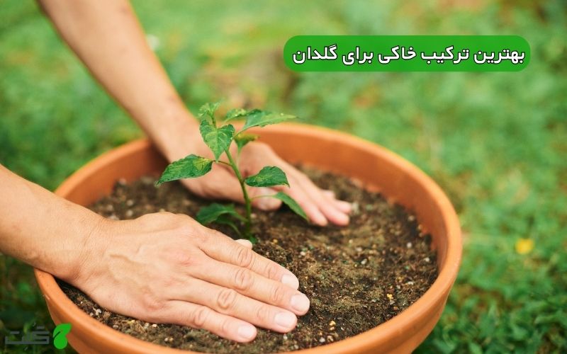 بهترین ترکیب خاکی برای گلدان