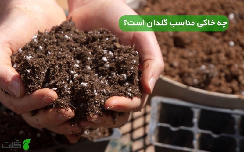 چه خاکی مناسب گلدان است؟