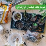 راهنمای خرید خاک گیاهان آپارتمانی