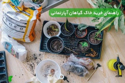 راهنمای خرید خاک گیاهان آپارتمانی