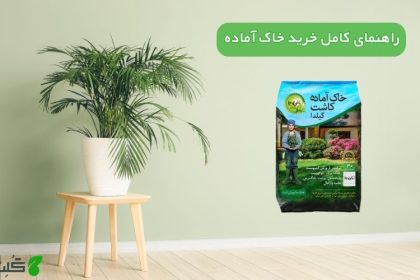 راهنمای کامل خرید خاک آماده