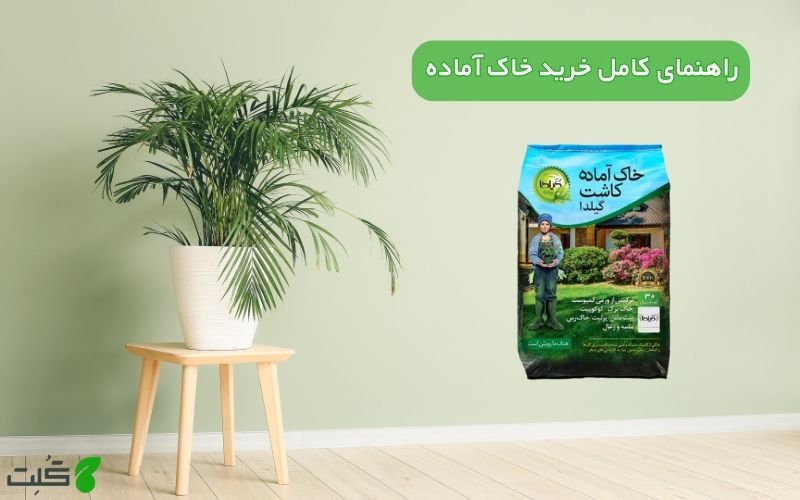 راهنمای کامل خرید خاک آماده