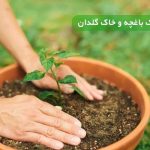 فرق خاک باغچه و خاک گلدان