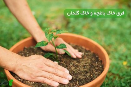 فرق خاک باغچه و خاک گلدان