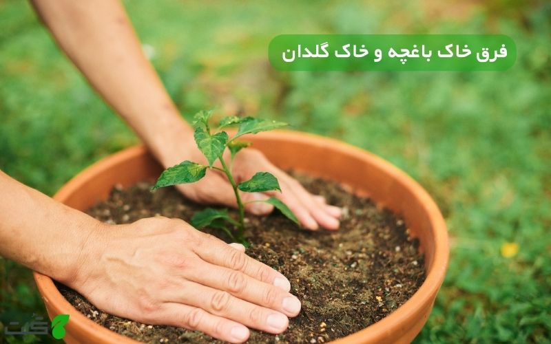 فرق خاک باغچه و خاک گلدان