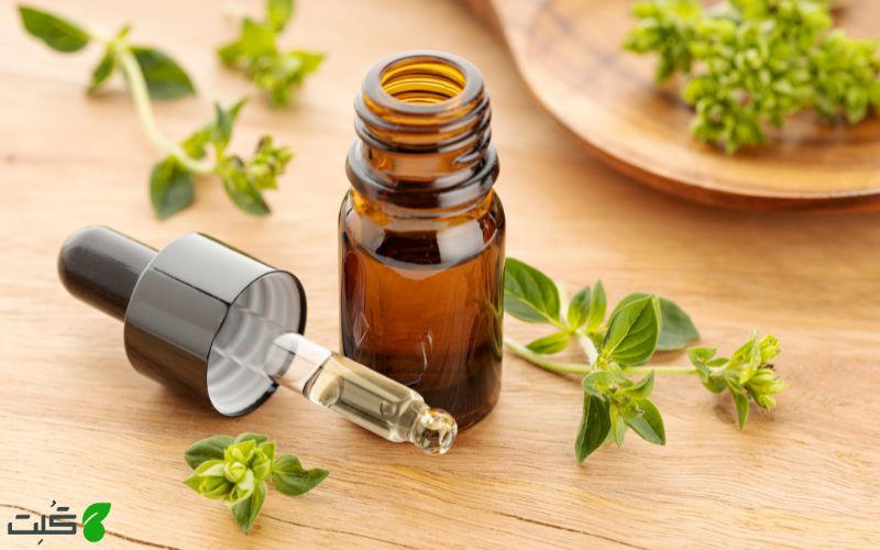 پرورش پونه در آب