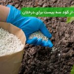 استفاده از کود سه بیست برای درختان | راز رشد سریع و شادابی باغ شما