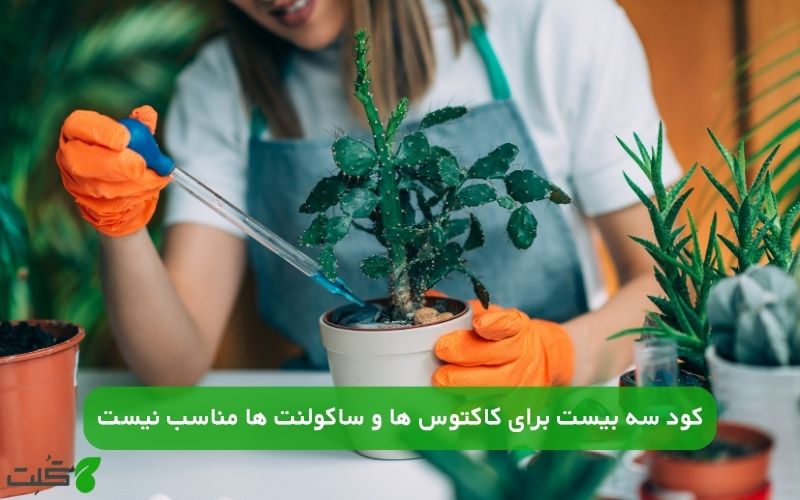 کود سه بیست برای چه گل هایی مناسب نیست؟