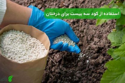 استفاده از کود سه بیست برای درختان
