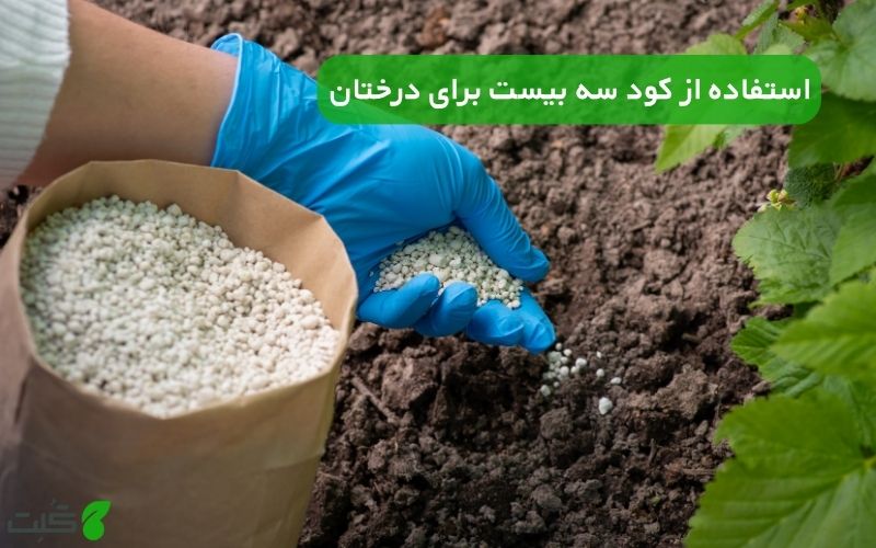 استفاده از کود سه بیست برای درختان