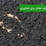 خواص کود خفاش برای کشاورزی